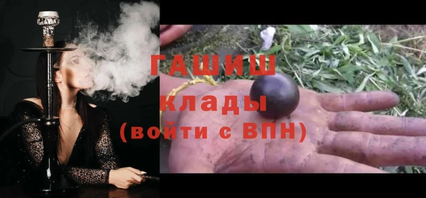 хмурый Алексин