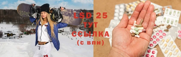 индика Инта