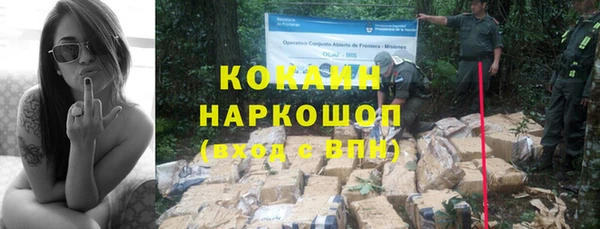 хмурый Алексин