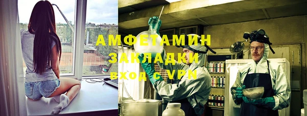 хмурый Алексин