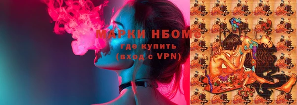 хмурый Алексин