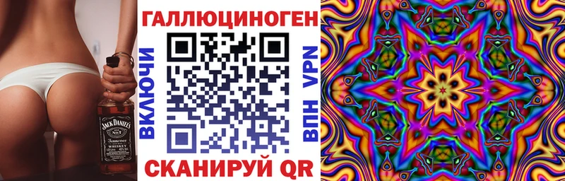 дарк нет как зайти  Находка  Псилоцибиновые грибы прущие грибы  цены наркотик 